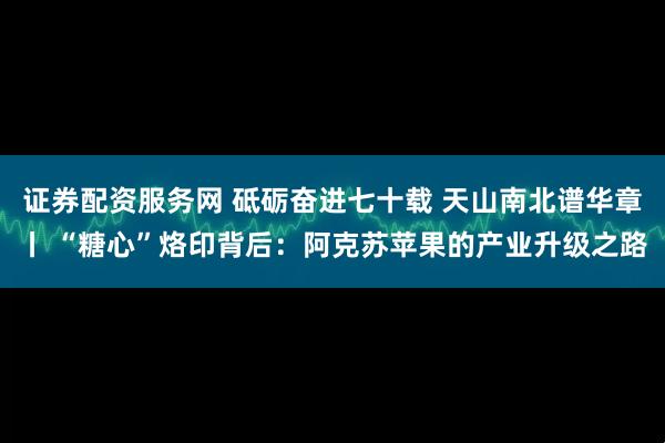 证券配资服务网 砥砺奋进七十载 天山南北谱华章丨 “糖心”烙印背后：阿克苏苹果的产业升级之路