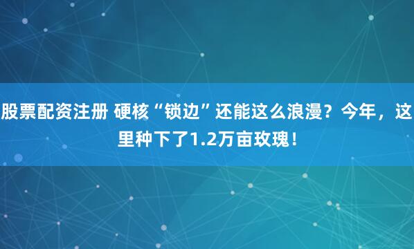 股票配资注册 硬核“锁边”还能这么浪漫？今年，这里种下了1.2万亩玫瑰！