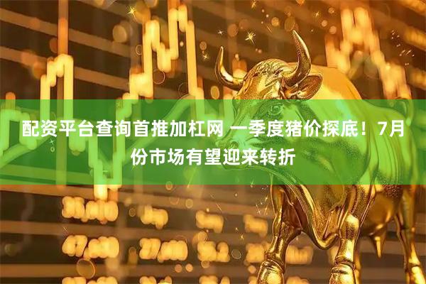 配资平台查询首推加杠网 一季度猪价探底！7月份市场有望迎来转折